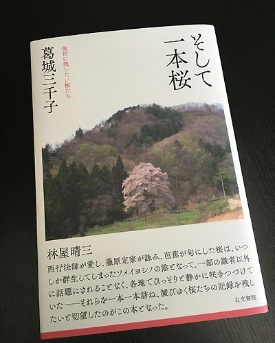 「そして一本桜」　葛城三千子 著