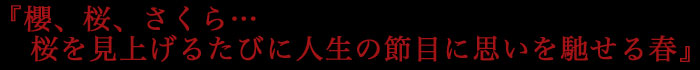 『櫻、桜、さくら…桜を見上げるたびに人生の節目に思いを馳せる春』