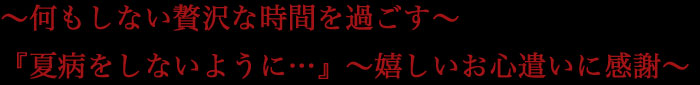 ～何もしない贅沢な時間を過ごす～ 『夏病をしないように…』～嬉しいお心遣いに感謝～